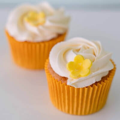 Lemon Cheesecake
